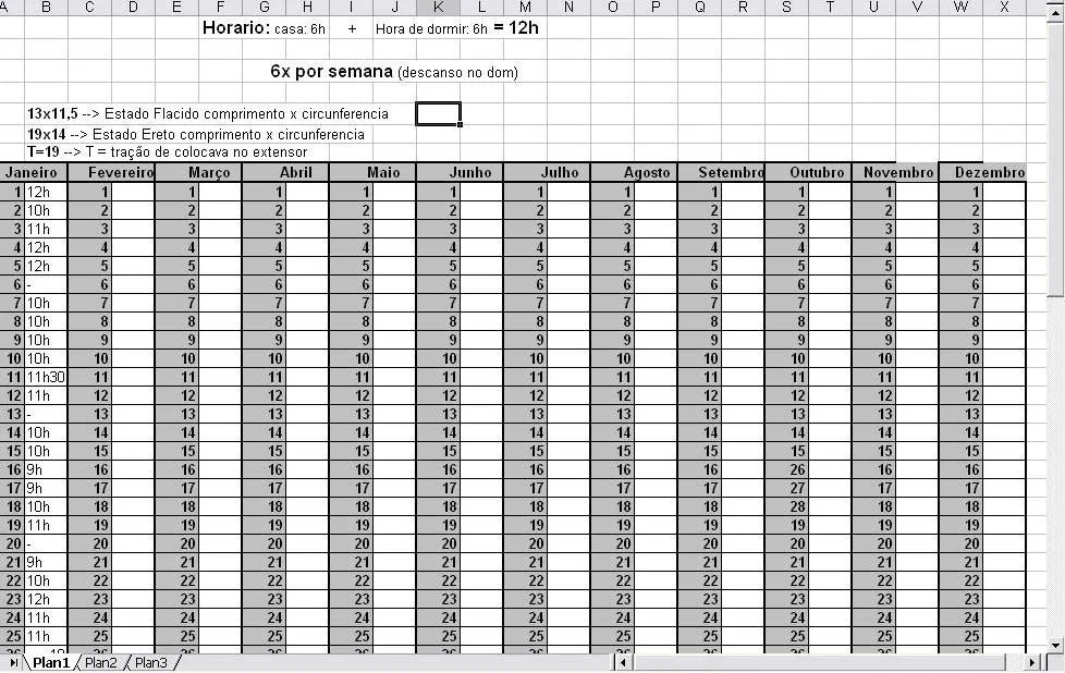 Metodo de treino: Como organizar seu treino diario